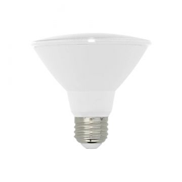 12W Par30 LED Light Bulb