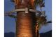 24" Tree Ring with 4 Lights