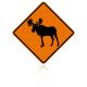 MUTCD W11-21 Moose
