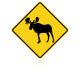 MUTCD W11-21 Moose