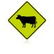 MUTCD W11-4 Cattle