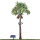 Solar LED 1980 LM Tree Ring Lights