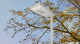 18W Solar Powered LED Walkway Light for Pathways